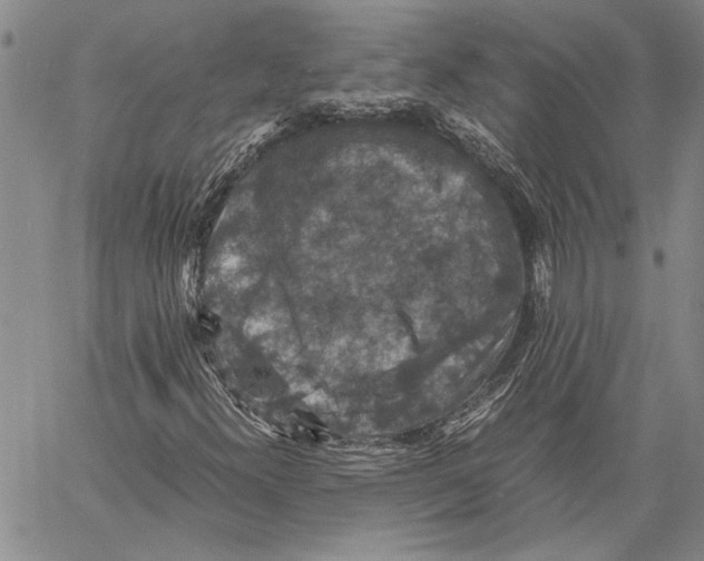 X0000060551300200512011606