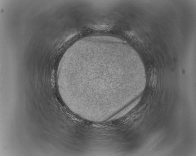 X0000060551301200512011606