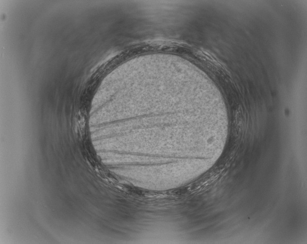 X0000060551302200512011606