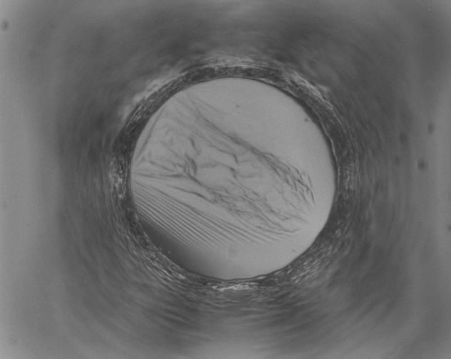 X0000060551303200512011606