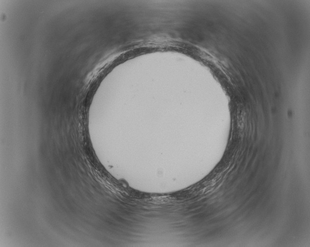 X0000060551304200512011606