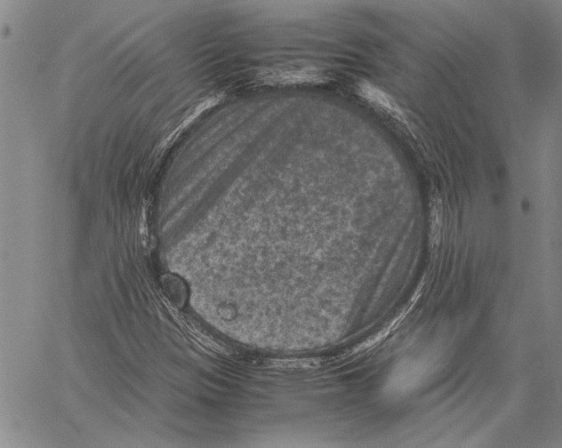 X0000060551305200512011606