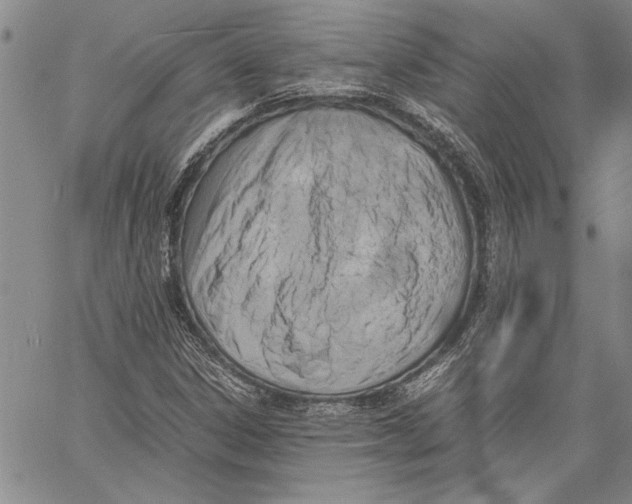 X0000060551306200512011606