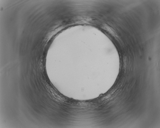 X0000060551308200512011606