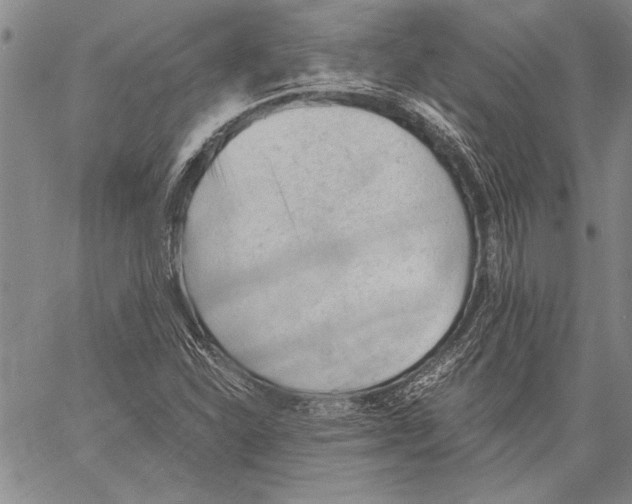 X0000060551310200512011606