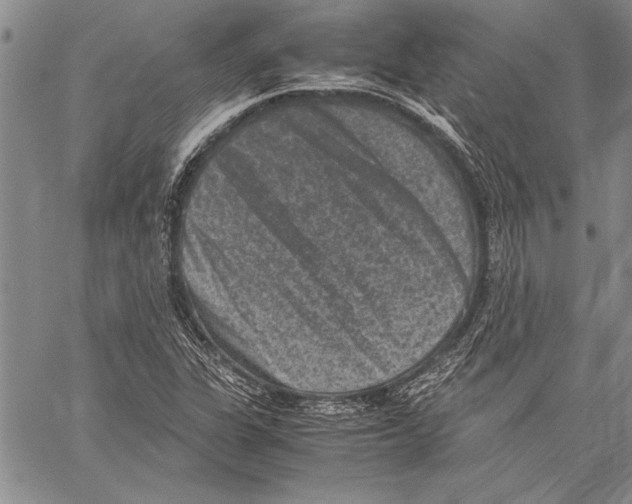 X0000060551311200512011606