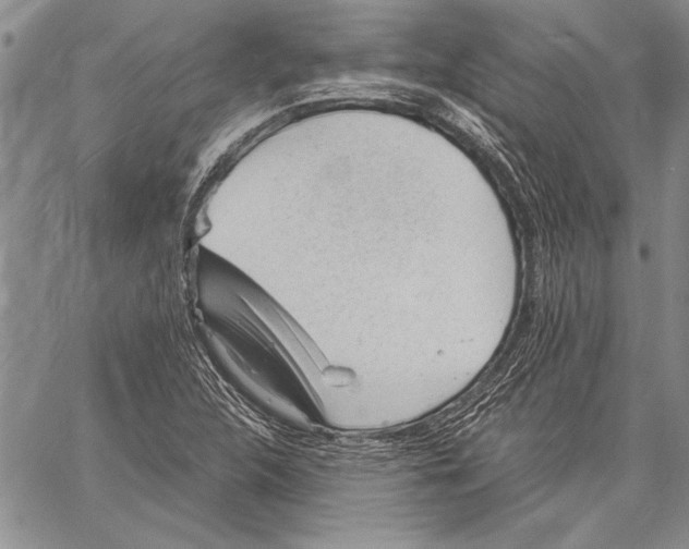 X0000060551312200512011606