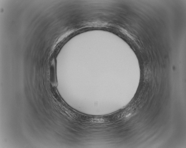 X0000060551315200512011606