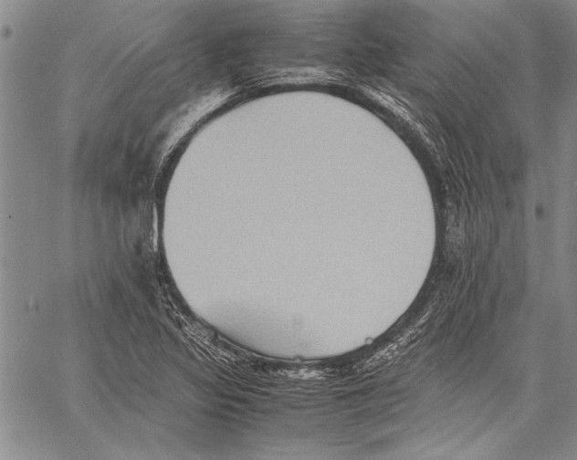 X0000060551317200512011606