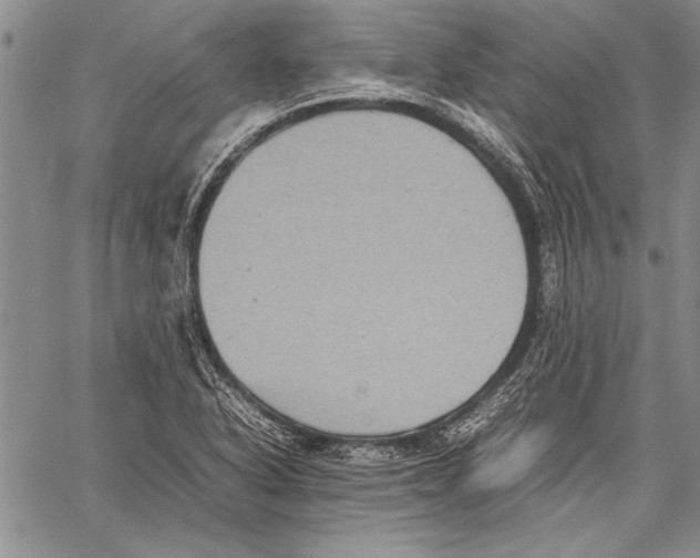 X0000060551318200512011606