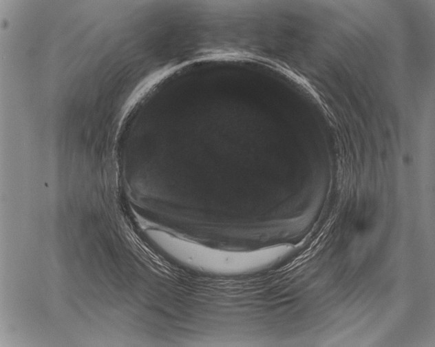 X0000060551319200512011606