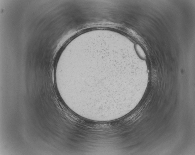 X0000060551320200512011606