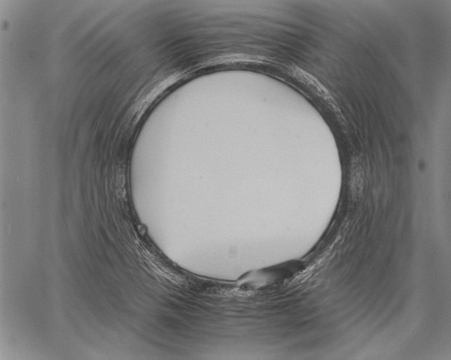 X0000060551321200512011606