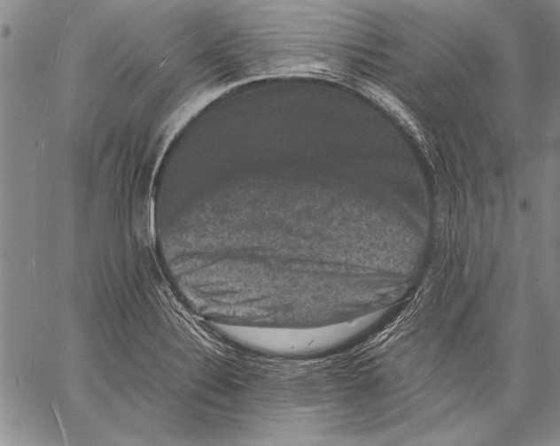 X0000060551324200512011606