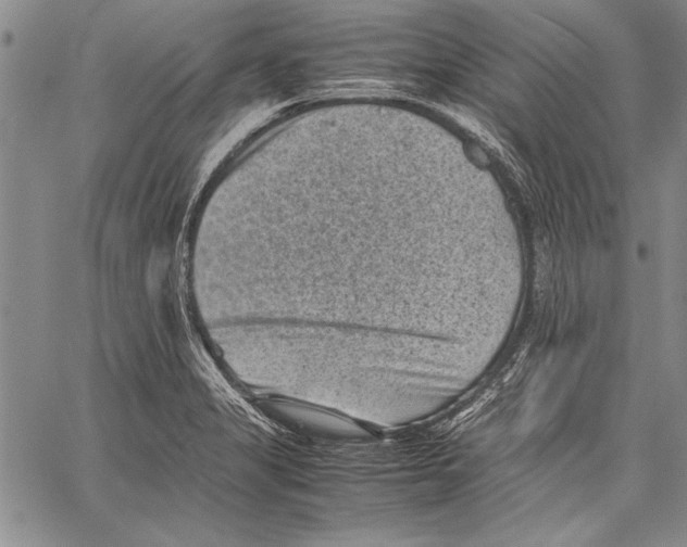 X0000060551325200512011606