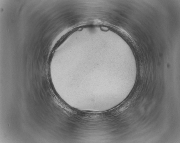 X0000060551326200512011606