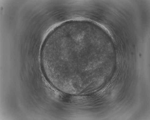 X0000060551327200512011606