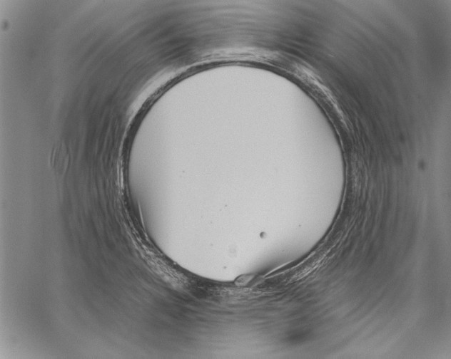 X0000060551328200512011606