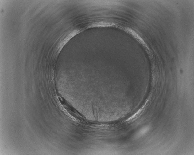 X0000060551329200512011606