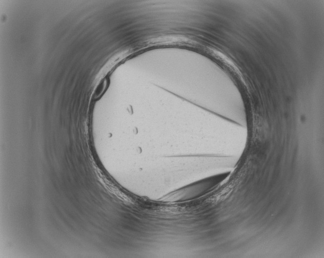 X0000060551330200512011606