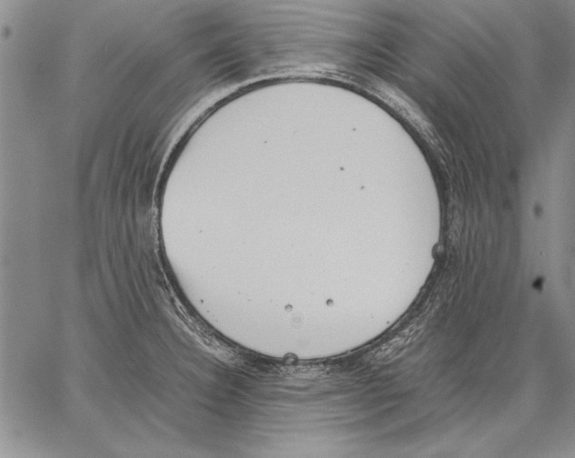 X0000060551332200512011606