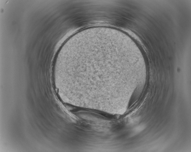 X0000060551333200512011606