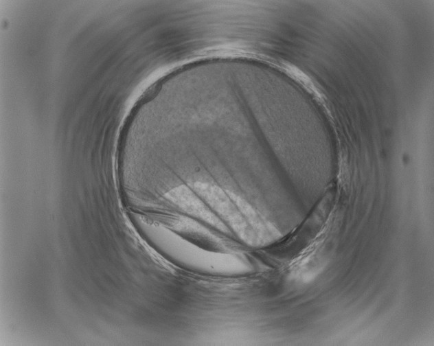 X0000060551334200512011606