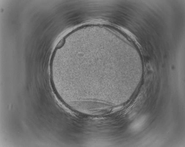 X0000060551335200512011606