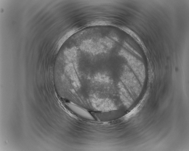 X0000060551337200512011606