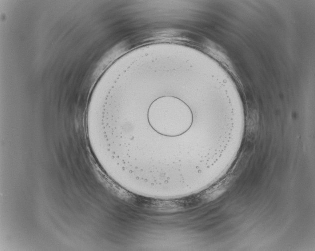 X0000060551338200512011606