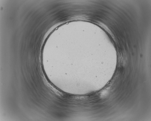 X0000060551339200512011606