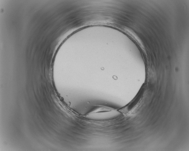 X0000060551340200512011606