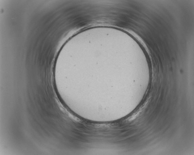 X0000060551341200512011606