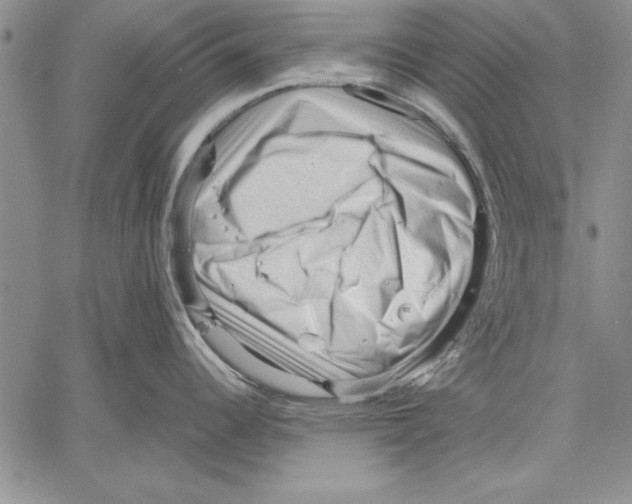 X0000060551344200512011606