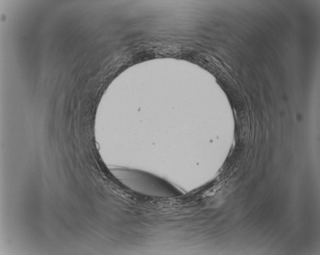 X0000060551345200512011606