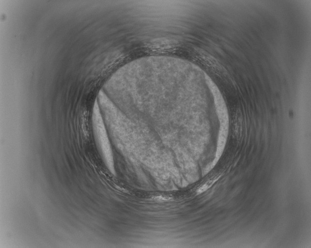 X0000060551346200512011606