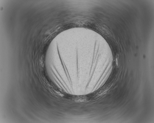 X0000060551347200512011606