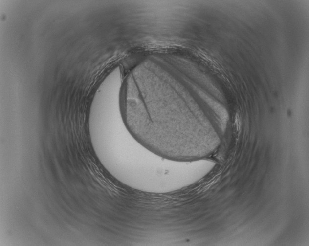 X0000060551348200512011606