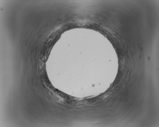 X0000060551349200512011606