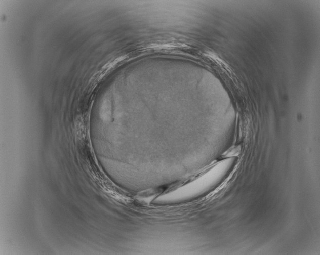 X0000060551353200512011606