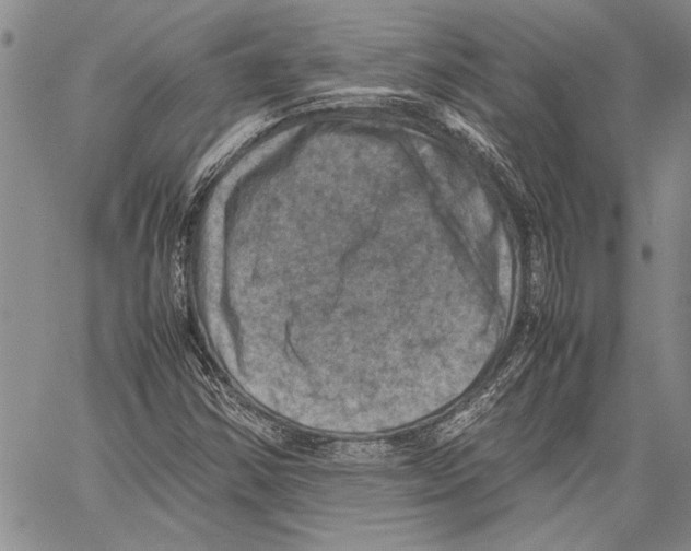 X0000060551354200512011606