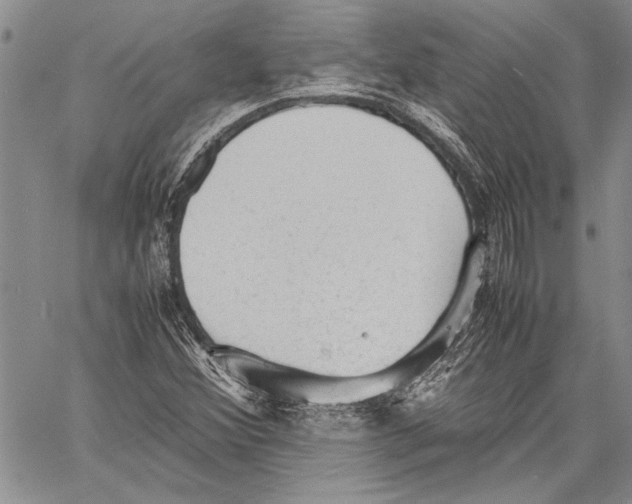 X0000060551356200512011605