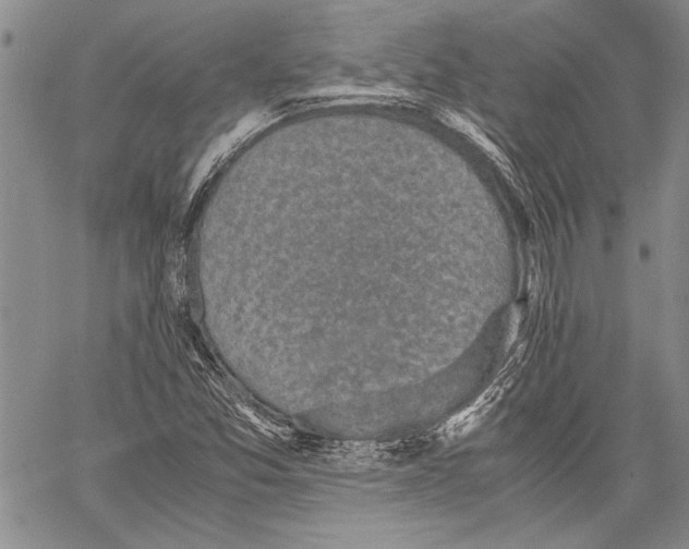 X0000060551357200512011605