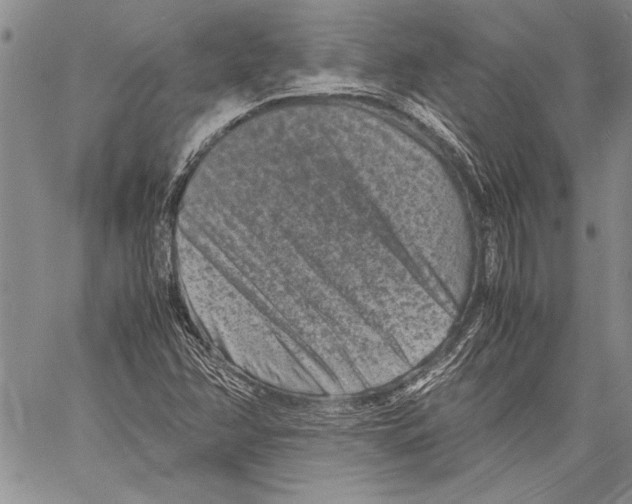 X0000060551358200512011605