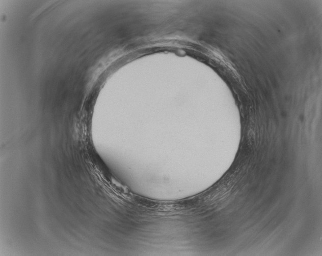 X0000060551360200512011605