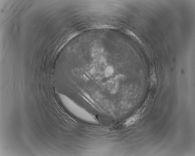 X0000060551361200512011605