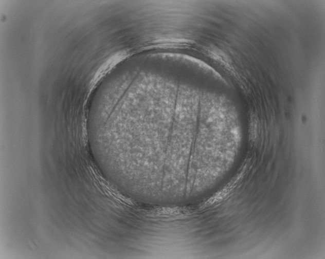 X0000060551362200512011605