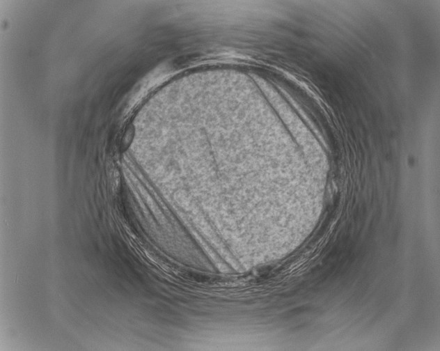 X0000060551363200512011605