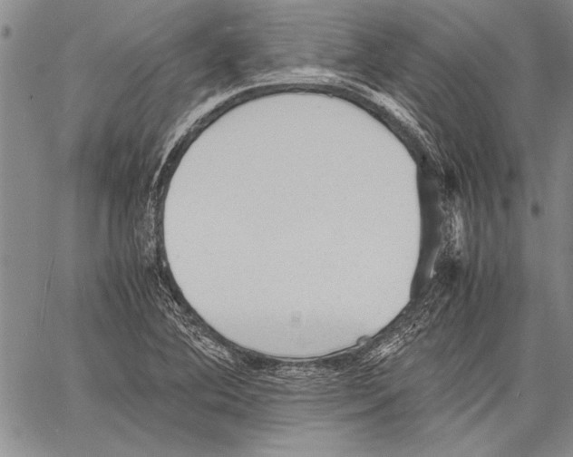 X0000060551364200512011605