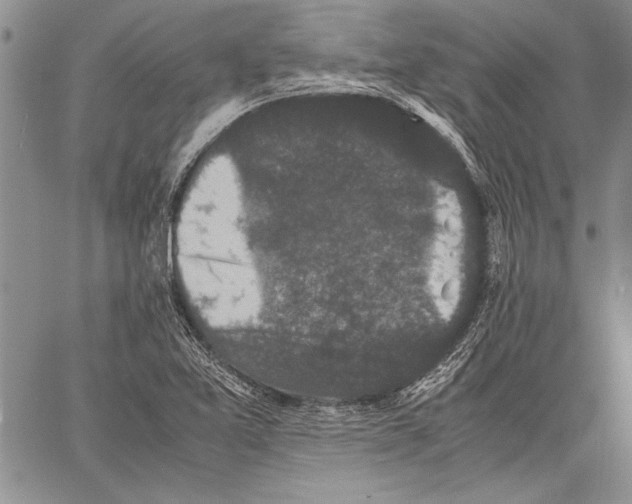 X0000060551365200512011605